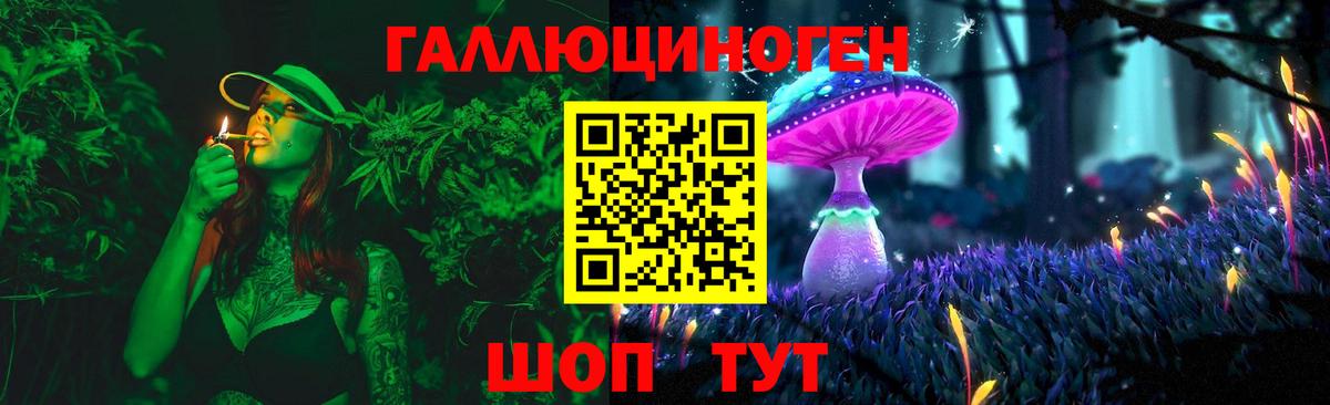 Балтийск  Галлюциногенные грибы MAGIC MUSHROOMS  Вход с VPN 